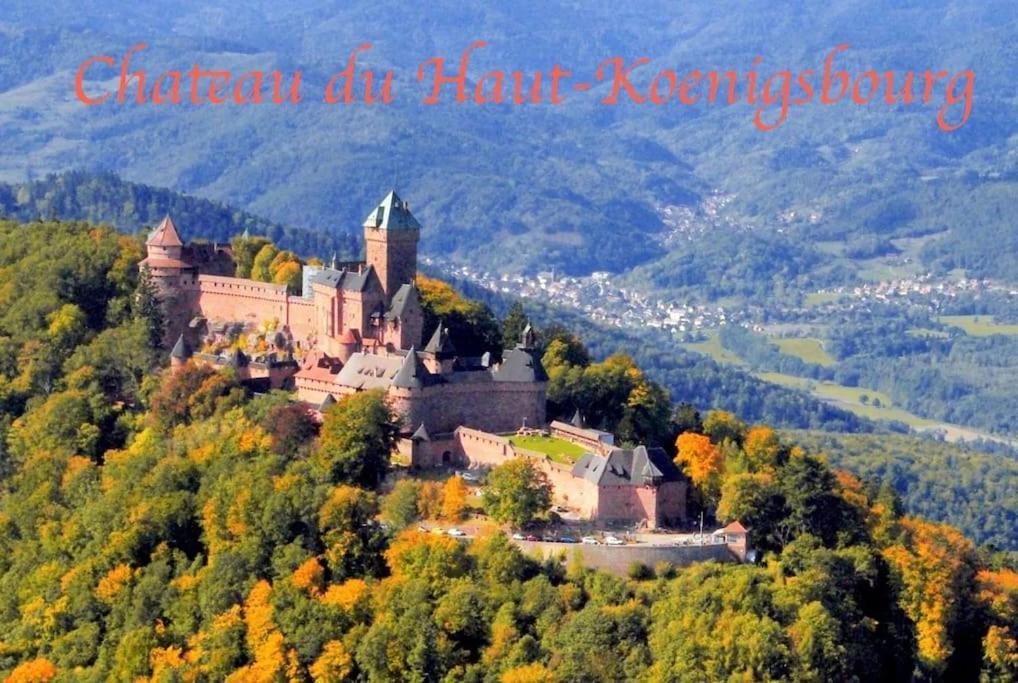 New L'Industr'Ill Au Coeur De L'Alsace Apartment Sélestat Екстериор снимка